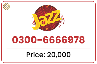 03006666978